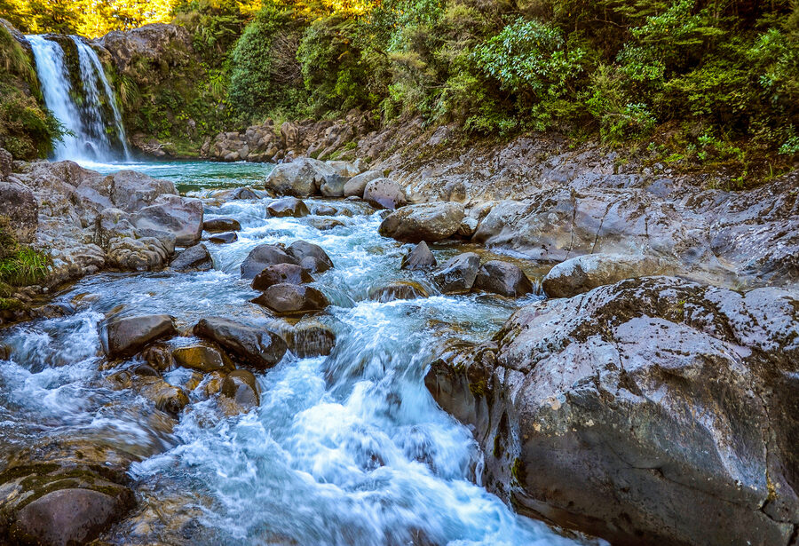 1583842076_archive_shutterstock_1585363855 1583842076_archive_shutterstock_1585363855