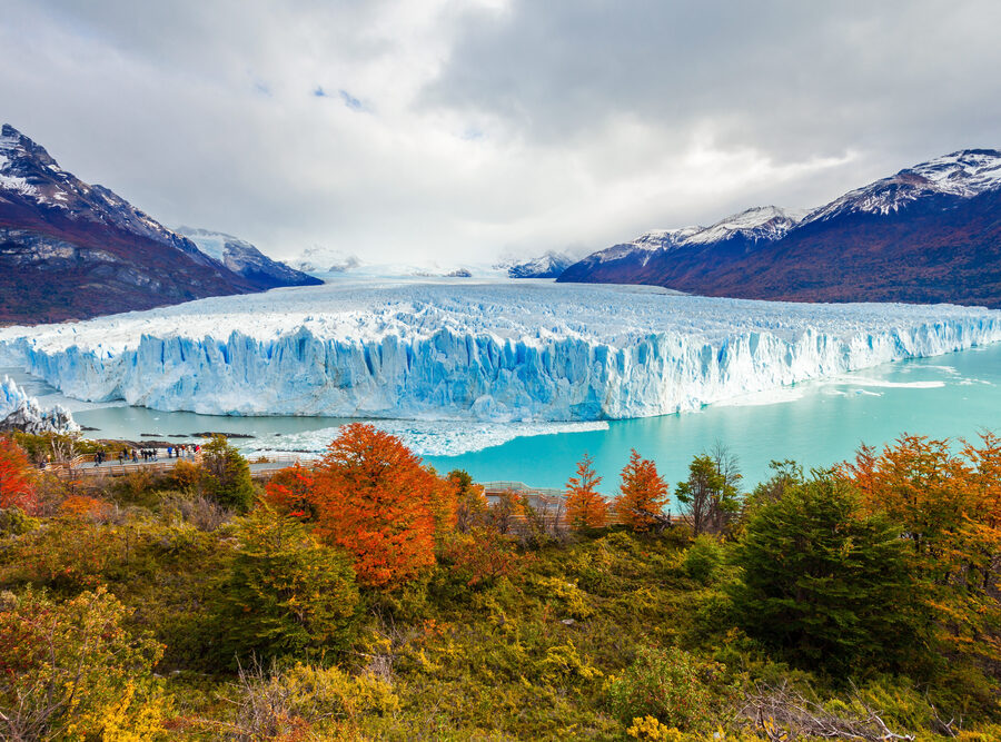 1602544269_archive_shutterstock_480460840 1602544269_archive_shutterstock_480460840